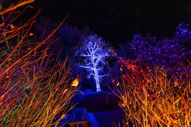 If you're looking for a more outdoors-y holiday lights walk from Denver Botanic Gardens, check out Trail of Lights at Littleton's Chatfield Farms. (Scott Dressel-Martin, provided by Denver Botanic Gardens)